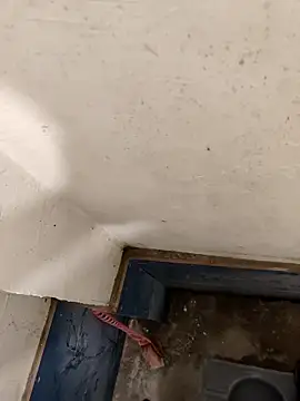 good7685 online show from 12/21/25, 06:04