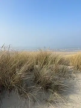 Snapshot of friemeldepiemel chatting on 03/08/26, 12:42 friemeldepiemel online show from 03/08/26, 12:42