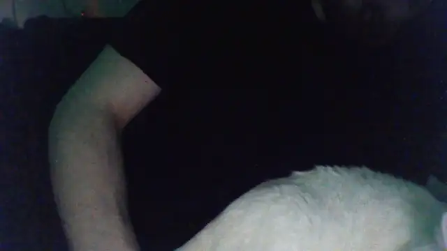 Snapshot of KaelNox chatting on 03/31/26, 11:38 KaelNox online show from 03/31/26, 11:38