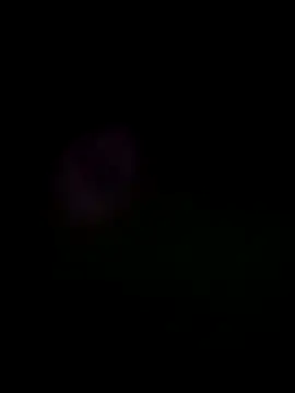 him220 online show from 05/26/26, 10:06