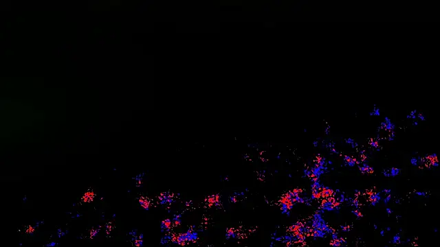 Snapshot of wolverinedream chatting on 04/20/26, 03:59 wolverinedream online show from 04/20/26, 03:59