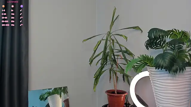 Snapshot of ManiJuanaa chatting on 05/05/26, 10:01 ManiJuanaa online show from 05/05/26, 10:01