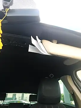 Snapshot of colosone chatting on 10/25/25, 09:50 colosone online show from 10/25/25, 09:50