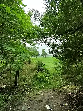 Shivanisingh4 online show from 07/21/26, 06:27