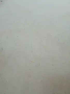 Lyly-68688 online show from 06/18/26, 02:56