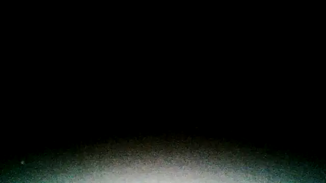 Werknjerkn online show from 04/19/26, 08:24