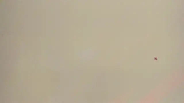 Snapshot of Melanie__Evans chatting on 05/12/26, 10:56 Melanie Evans online show from 05/12/26, 10:56