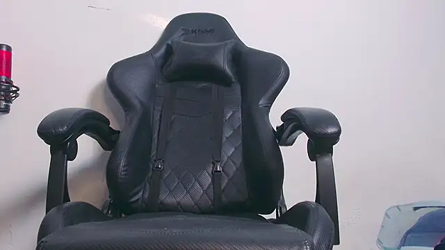 Snapshot of Skullxxx6969 chatting on 11/27/25, 04:31 Skullxxx6969 online show from 11/27/25, 04:31