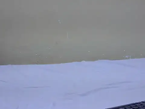candyque online show from 07/01/26, 03:01
