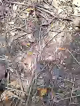 Cute Boy 4 online show from 05/13/26, 08:12