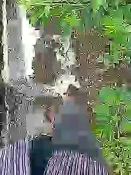 Cute Boy 4 online show from 07/16/26, 04:29