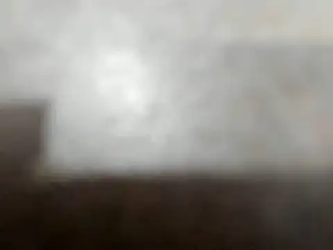 camila wood online show from 06/11/26, 02:53