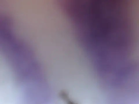 Snapshot of ELIZA_01 chatting on 02/08/26, 04:38 ELIZA 01 online show from 02/08/26, 04:38