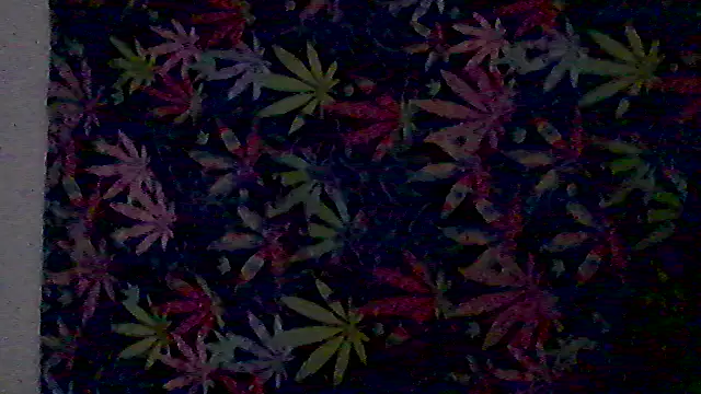 libraxxxstudios online show from 07/03/26, 12:11