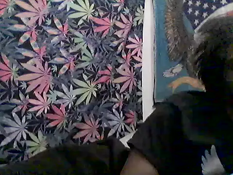 libraxxxstudios online show from 07/23/26, 09:51