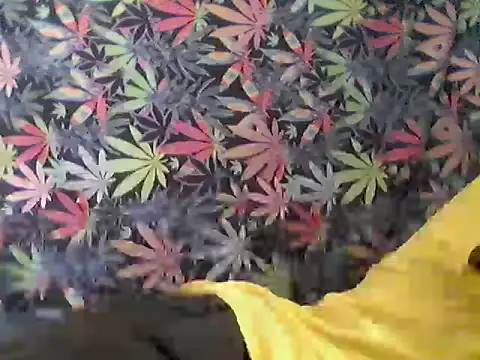 libraxxxstudios online show from 07/24/26, 09:57
