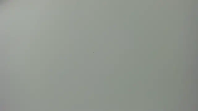 Raven love online show from 04/28/26, 05:18