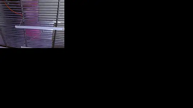 sophi and coby online show from 05/02/26, 05:12