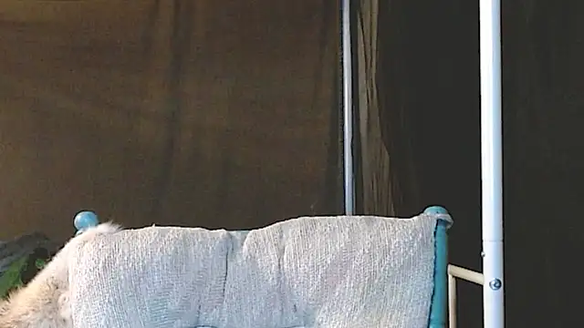 Snapshot of cguffey2284 chatting on 03/20/26, 10:03 cguffey2284 online show from 03/20/26, 10:03