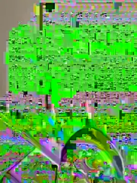 Snapshot of pussyeater_- chatting on 08/07/26, 06:37 pussyeater - online show from 08/07/26, 06:37