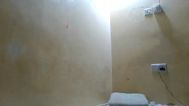 Cozybear online show from 07/27/26, 06:31