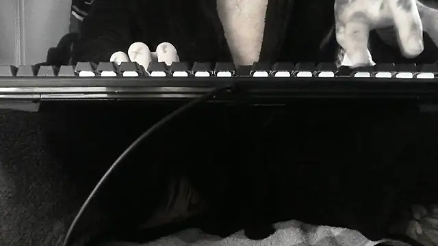 Retrofkcer85 online show from 02/25/25, 10:37