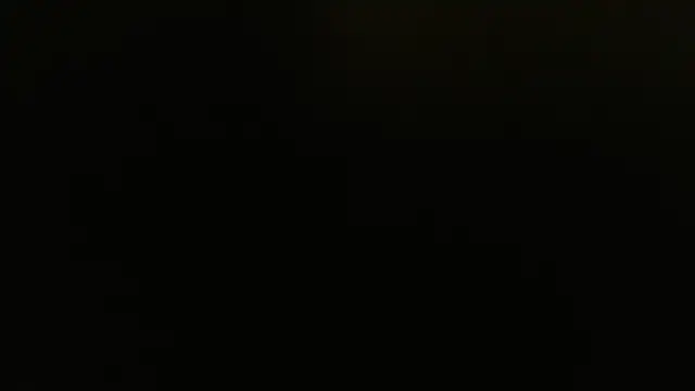 meowgary online show from 07/30/26, 10:09