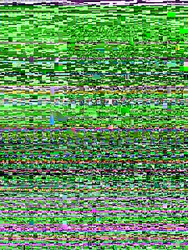 D SnowL online show from 07/10/26, 07:49