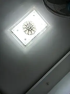 Snapshot of wanggang880903 chatting on 05/26/26, 04:14 wanggang880903 online show from 05/26/26, 04:14
