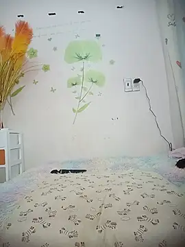 Meow cute online show from 07/06/26, 06:43