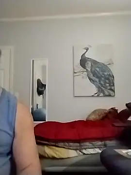 Snapshot of coestet chatting on 05/22/26, 12:18 coestet online show from 05/22/26, 12:18