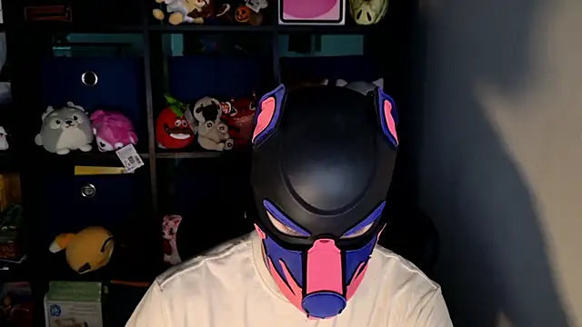 MellPUP online show from 06/19/26, 11:58