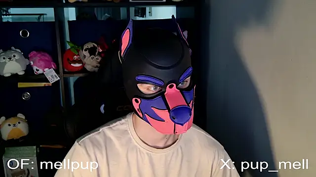 MellPUP online show from 06/25/26, 01:04