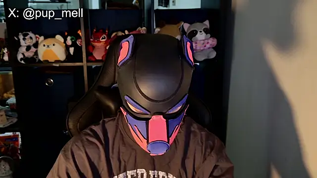 MellPUP online show from 08/04/26, 03:36