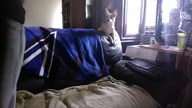KinkyTOMan online show from 06/10/26, 05:01