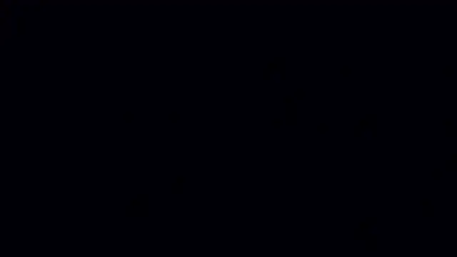 A model1 online show from 06/04/26, 02:56
