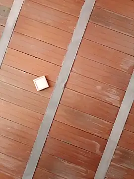 leo0 6666 online show from 05/25/26, 06:58