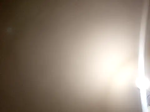assRider21cm online show from 04/29/26, 03:43
