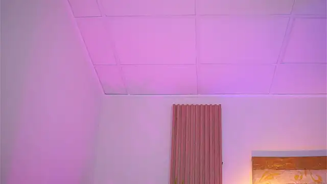 LatinaMorene online show from 06/12/26, 06:18