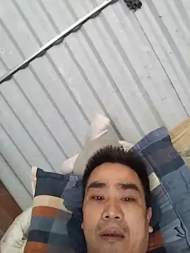 Tinh love online show from 07/26/26, 03:58