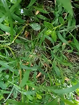 luck00y online show from 07/08/26, 12:59