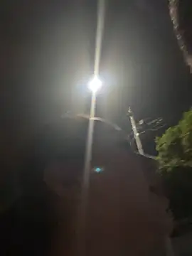 Exotic street online show from 06/06/26, 01:43