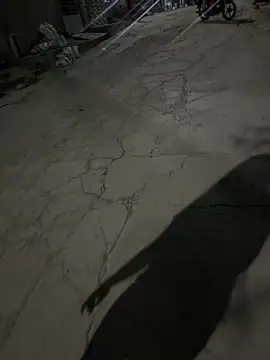 Exotic street online show from 06/11/26, 02:53