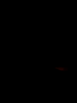 Flavyaaa online show from 07/02/26, 10:38