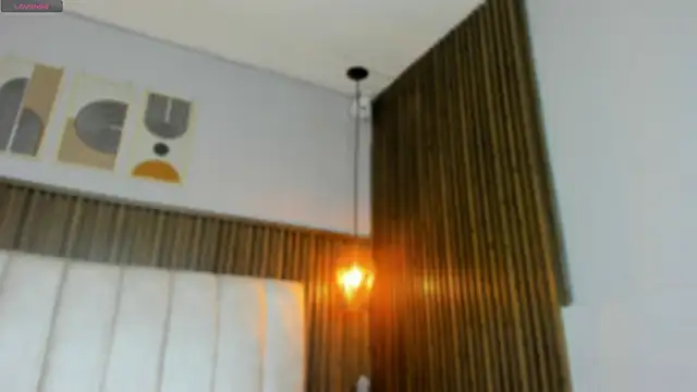 Snapshot of Hayami_Li chatting on 06/10/26, 11:53 Hayami Li online show from 06/10/26, 11:53