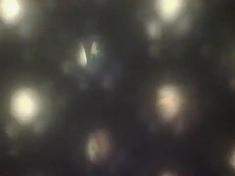 HaqqurSerpian online show from 07/21/26, 11:18