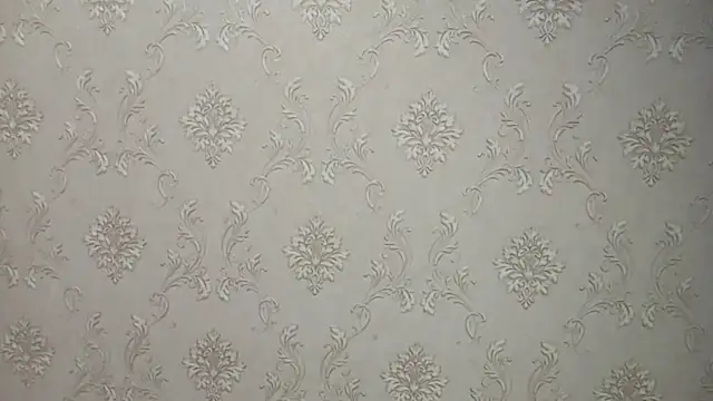 DelicaBrome online show from 07/19/26, 01:15
