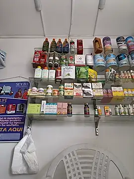roxana sexy 2026 online show from 05/25/26, 03:29