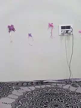 silkyhairs online show from 07/02/26, 11:49