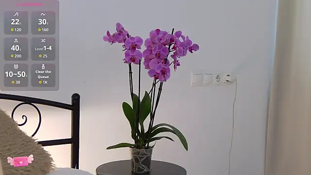 AnisLane online show from 05/09/26, 06:07